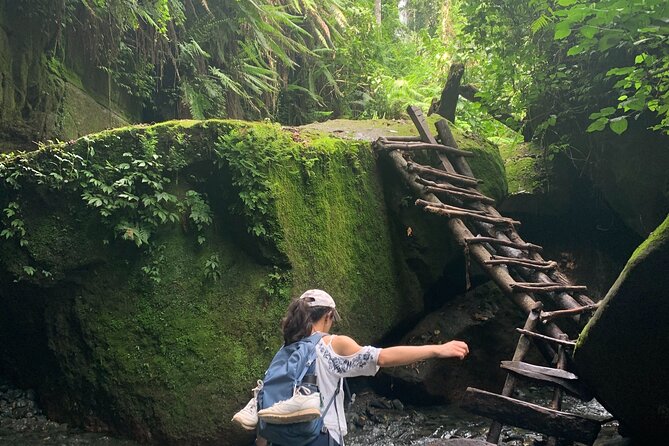 days trip Image