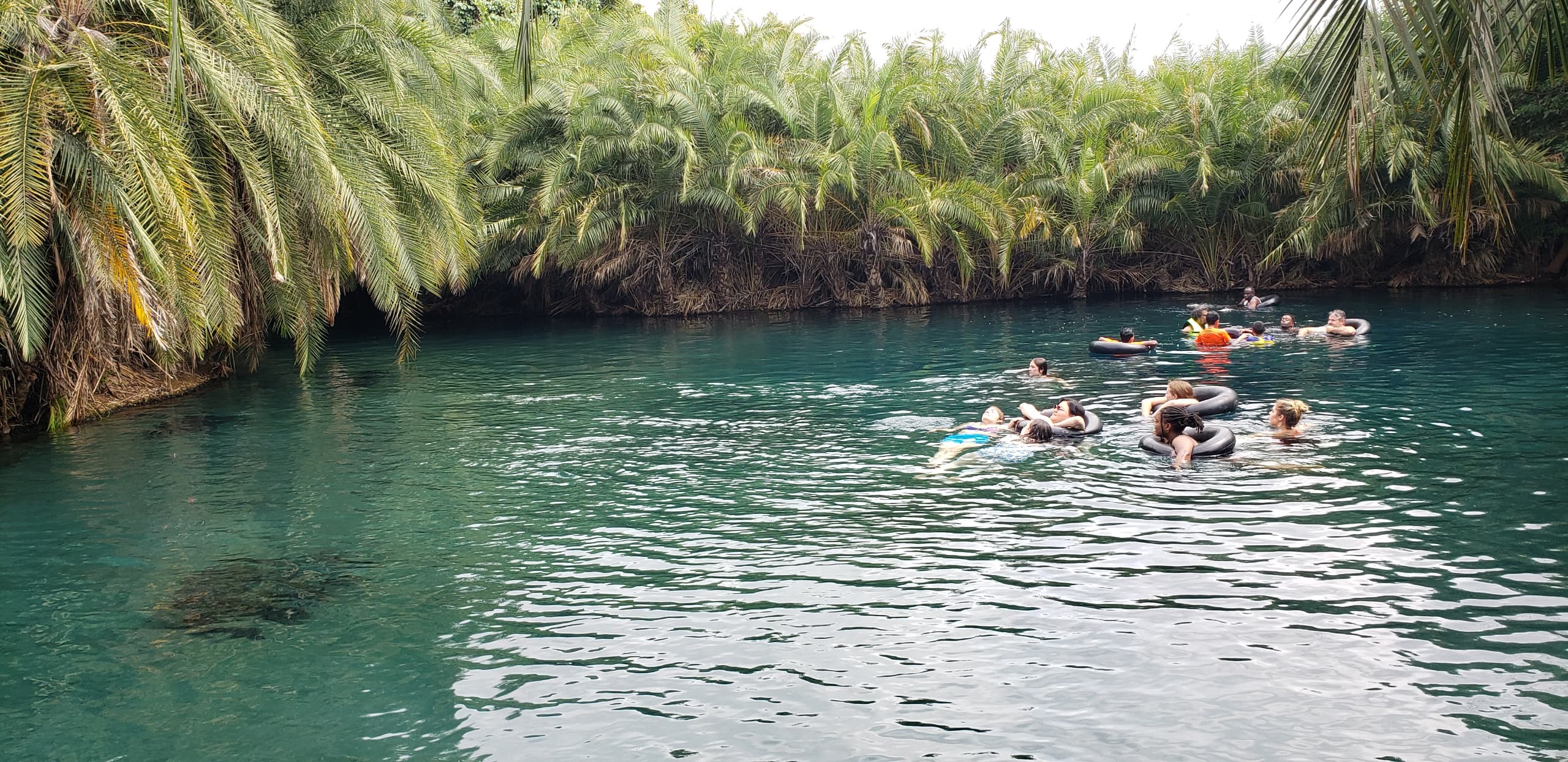 days trip Image